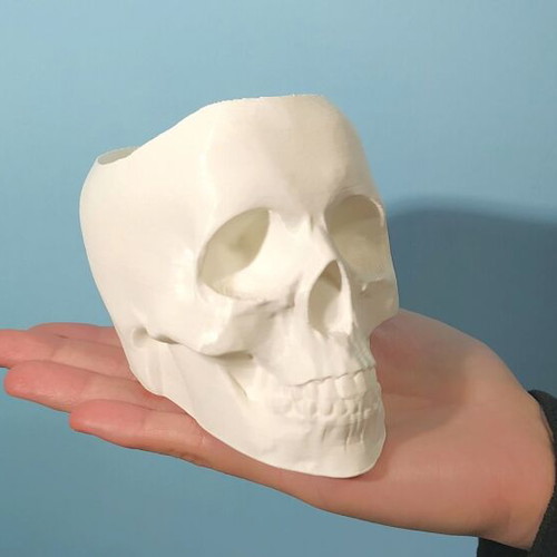 Decorative skull planter new 3D printed for small plants