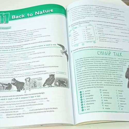 Revised Burlington Connect B1 Teacher's Books pack of 5 like new
