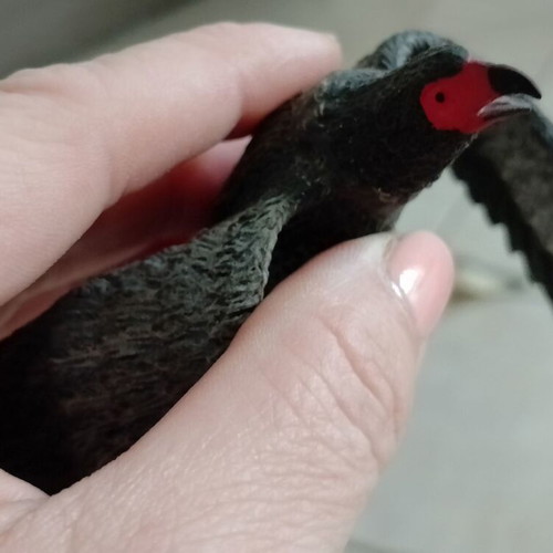 Set of 4 used wild rubber birds for sensory play