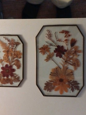 Decorative frames with dried flowers like new