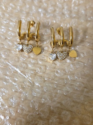 Stainless steel earrings