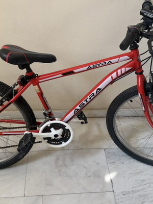 Astra 24" Mountain Bike for Teens, 18+ Speeds, Red-White