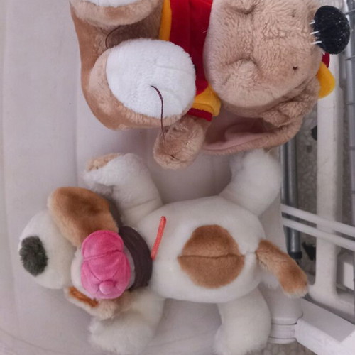 Plush dogs used, set of 2