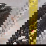 αγαλματάκι σιδερένιο παλιό