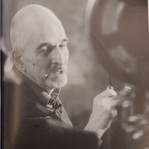 Ingmar Bergman Tribute 1998 book used