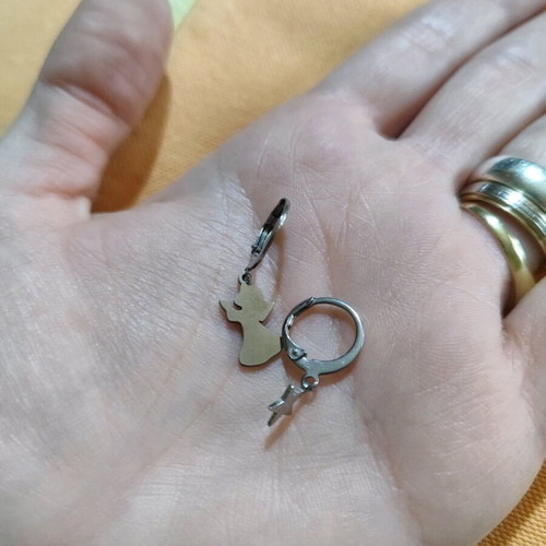 Hoop earrings with charm new, stainless steel, silver color
