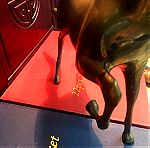  Παλιά Αντίκα χειροποίητο επιδαπέδιο  μεγάλο άγαλμα αλόγου μπρούτζινο μασίφ πολύ βαρύ κομμάτι