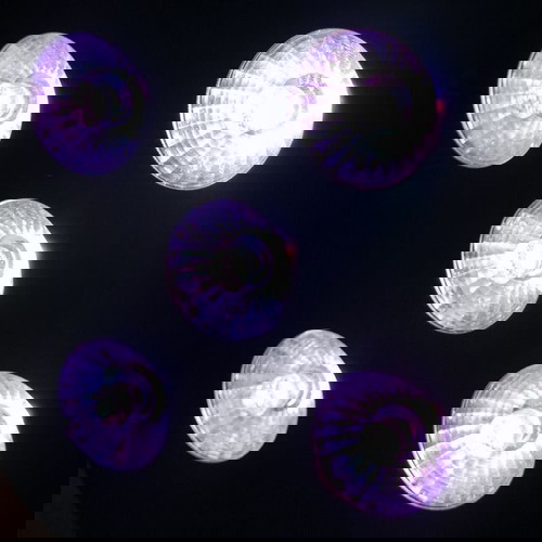 Προβολείς LED Stairville Quad Par Profile 5x8W RGBW σαν καινούργιοι σετ 6 τεμαχίων