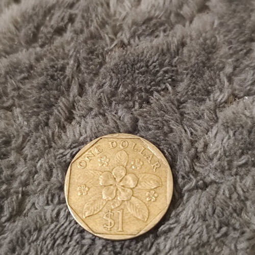 Singapore 1 dollar coin 1995 used