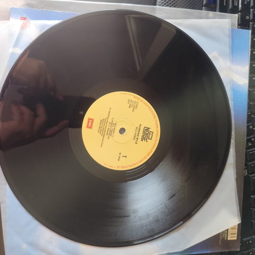 Running Wild Wild Animal 12" First Press 1989 like new, metal