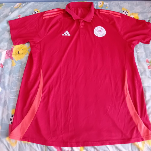 Olympiacos Football T Shirt Adidas 100 Years Anniversary Like New XXL