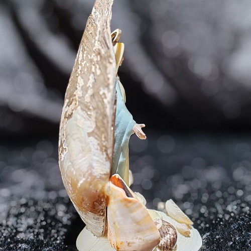 Handmade Virgin Mary statue with natural seashells