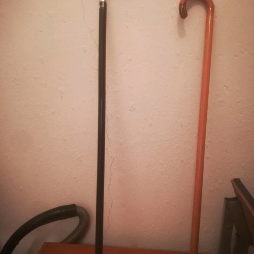 Walking stick and support cane new