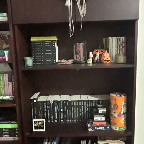 Wooden bookcase
