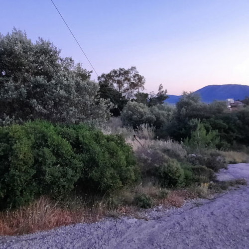 Land 1,500 m² in Drafi, corner plot, within city plan