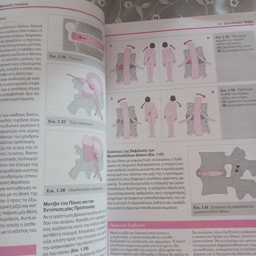 Functional Anatomy of the Motor System by Jutta Hochschild