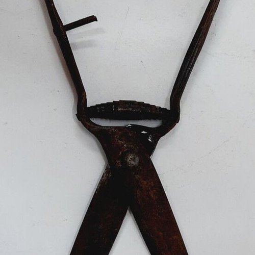 Antique hand sheep and goat shears used, metal construction