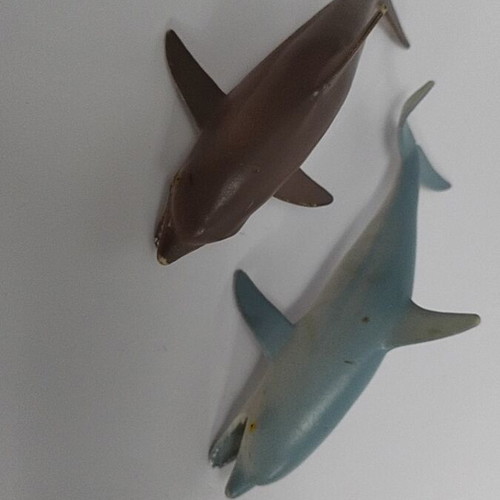 Dolphins like new