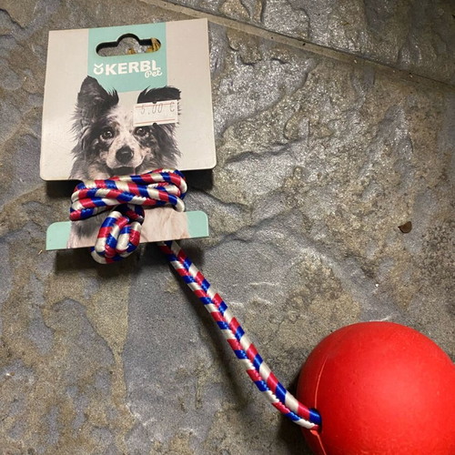 Dog toy new