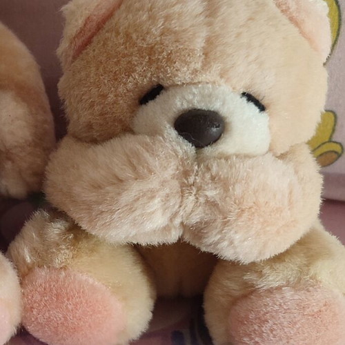 Forever Friends teddy bears like new with zodiac shirts Leo and Virgo