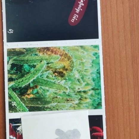 Exploring the Ocean Stickers 63, 26, 62 and Tattoo new