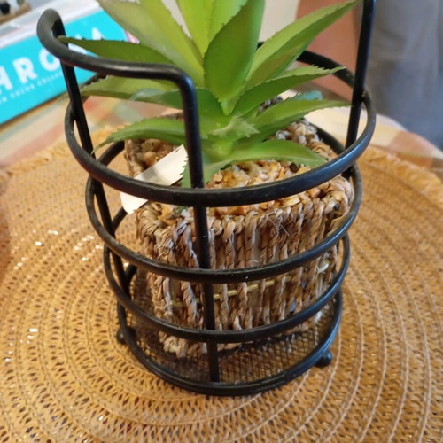 Decorative plant in seaweed new, together
