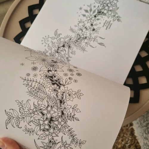Secret Garden Coloring Book like new