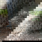  Πωλείται STEMA 2μ