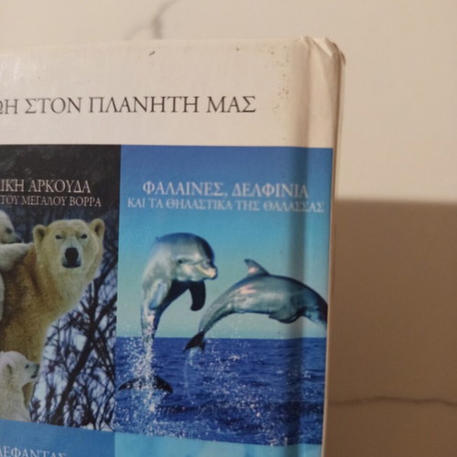 The Animal Encyclopedia Skai Book Volume 11 Used, Giant Panda and Endangered Species
