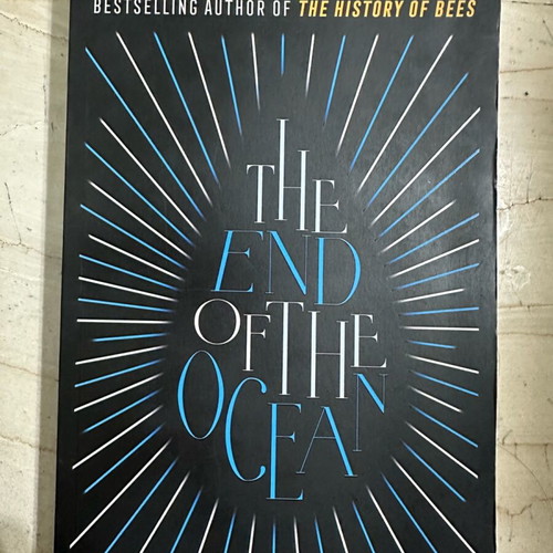 The End of the Ocean used English book in very good condition