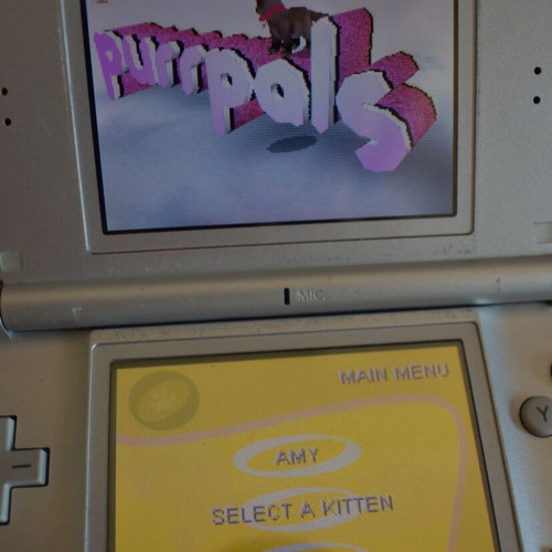 Purr Pals Nintendo DS game used, pet simulation