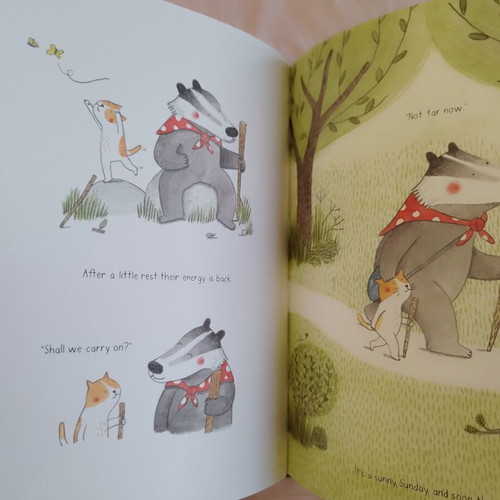 Up the Mountain by Marianne Dubuc like new, English children's book
