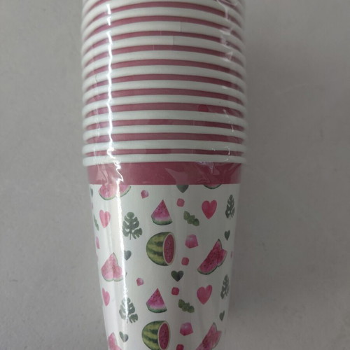 Watermelon paper plates and cups set