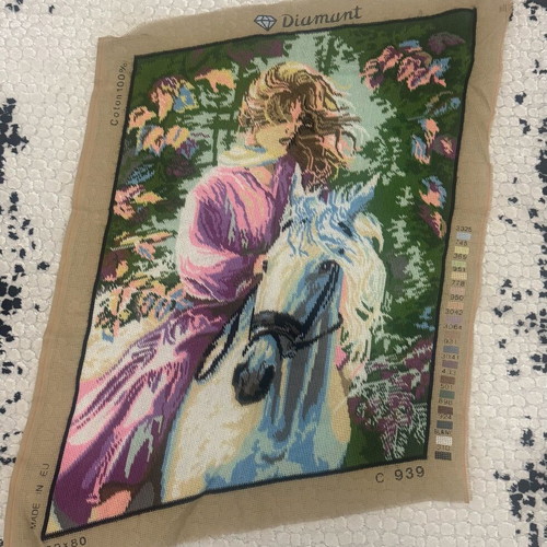 Embroidery with Woman on Horse like new 60x80
