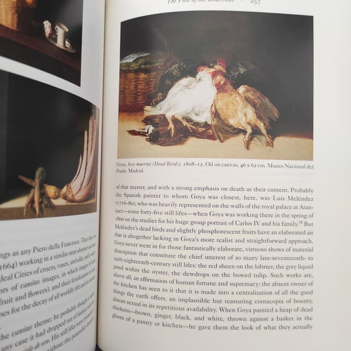 Goya by Robert Hughes book