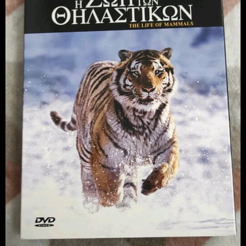 The Life of Mammals DVD BBC documentary like new