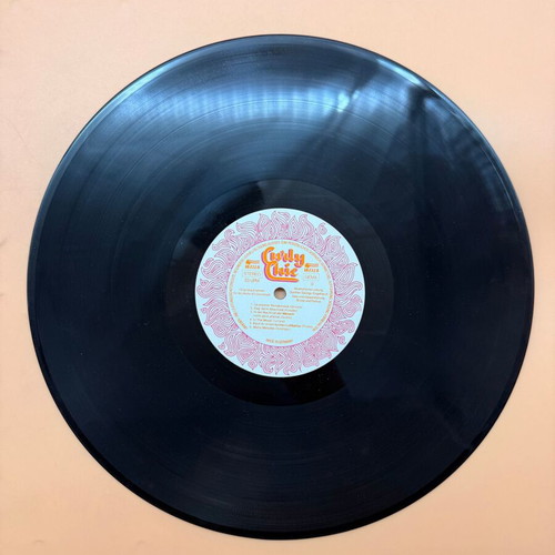 Wella Curly Chic vinyl used, collectible promotional album