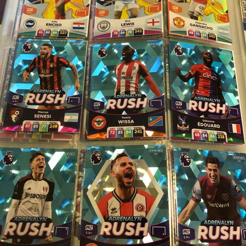 Panini Premier League 2024 Complete Basic Collection