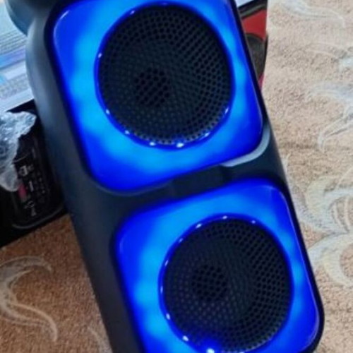 Portable Bluetooth Party Speaker with Wireless Microphone and FM Radio