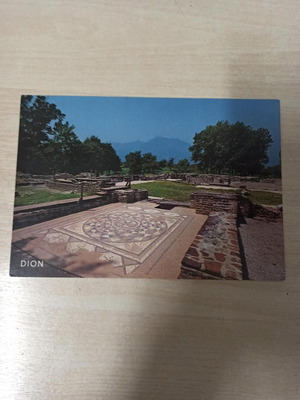 Dion Pieria postcard new