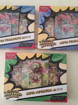 Pokemon Cards Ascended Heroes sealed boxes Mega Feraligatr x2 Mega Meganium