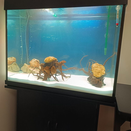 Anubias Aquarium 160 liters with stand, lighting and external filter