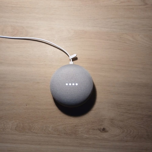 Google Home Mini assistant