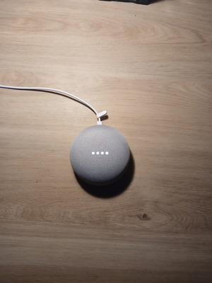 Google Home Mini assistant