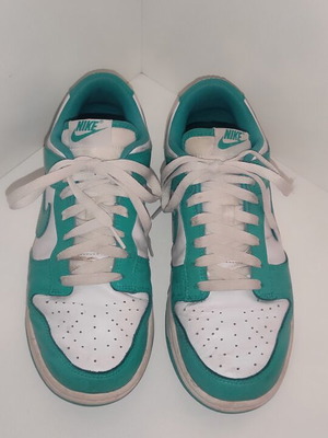 Nike Dunk Low Retro Clear Jade sneakers size 41 used, leather