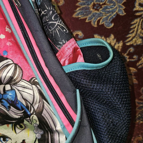 Monster High school backpack used with multiple compartments for primary school