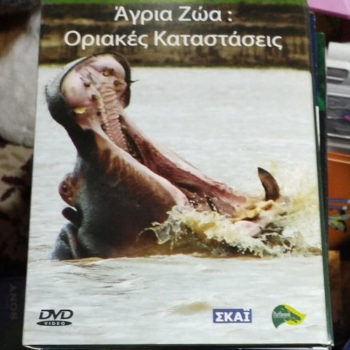 Wild Animals: Critical Situations Documentary DVD new, subtitles