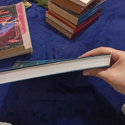 The Prophecies of the Maya used book