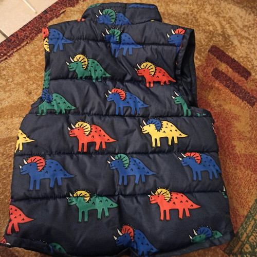 Dpam sleeveless vest like new with dinosaurs for 2 years old