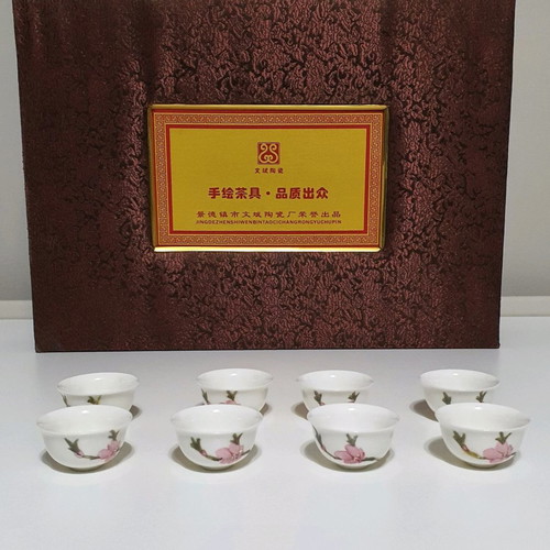 Jingdezhen porcelain Chinese tea set used, 11 pieces with case